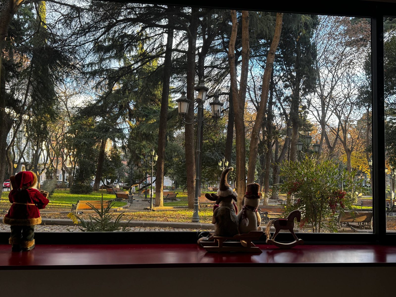 Window facing the park